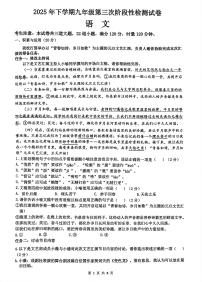 湖南省雅礼教育集团2025-2026学年九年级上学期第三次阶段检测语文试题