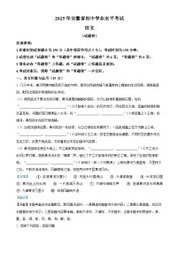 2025年安徽省大联考中考模拟语文试题（解析版）
