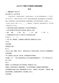 湖南省娄底市冷水江市2024-2025学年七年级下学期期末语文试题（解析版）