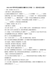 2024-2025学年河北省廊坊市霸州市九年级（上）期末语文试卷-自定义类型