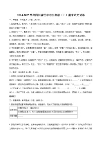 2024-2025学年四川省巴中市九年级（上）期末语文试卷-自定义类型