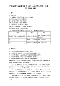 广东省湛江市麻章区联考2025-2026学年九年级上学期12月月考语文试题（含答案）