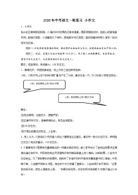 小作文-2026年中考语文一轮专题复习讲练（全国通用）