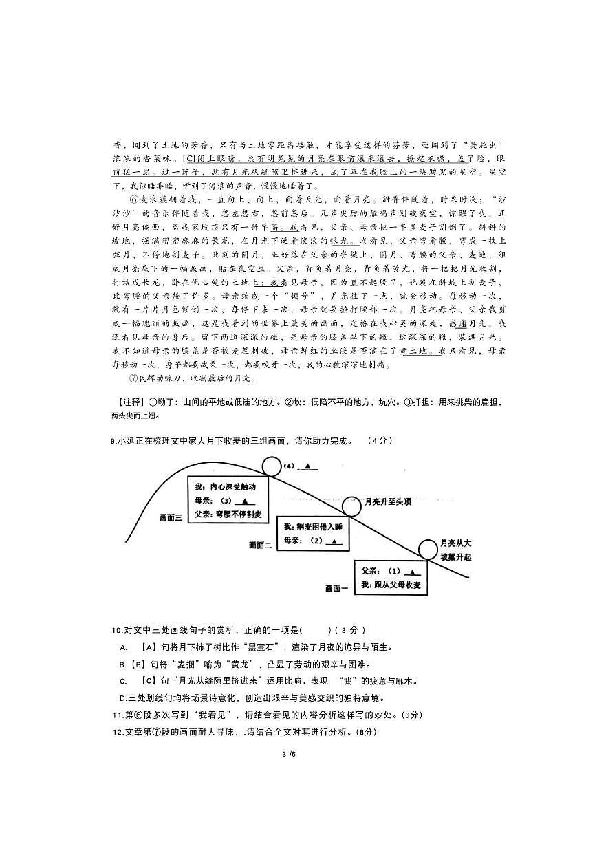 上海市徐汇区教育学院附属实验中学2025-2026学年九年级上学期12月学业诊断二语文试卷(PDF版第3页