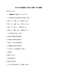 初中 语文  统编版 九年级上册 第三单元 周测