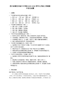 四川省南充市阆中中学校2025-2026学年九年级上学期期中语文试题（含答案）