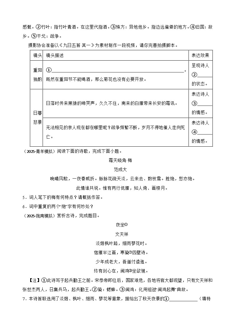 诗歌鉴赏-2026年中考语文一轮复习讲练(全国通用)附答案解析第3页
