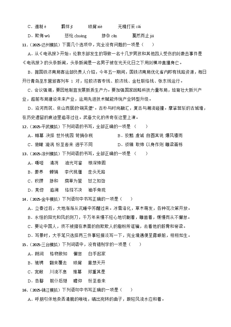 字音、字形、词语-2026年中考语文一轮复习讲练(全国通用)附答案解析第3页