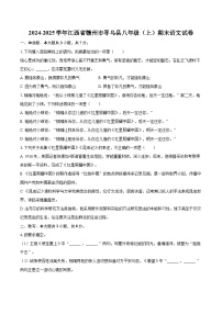 2024-2025学年江西省赣州市寻乌县八年级（上）期末语文试卷-自定义类型