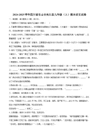 2024-2025学年四川省乐山市夹江县九年级（上）期末语文试卷-自定义类型