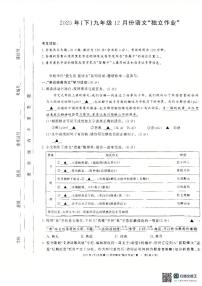 浙江省杭州市西湖区杭州外国语学校2025-2026学年九年级上学期12月月考试语文试卷