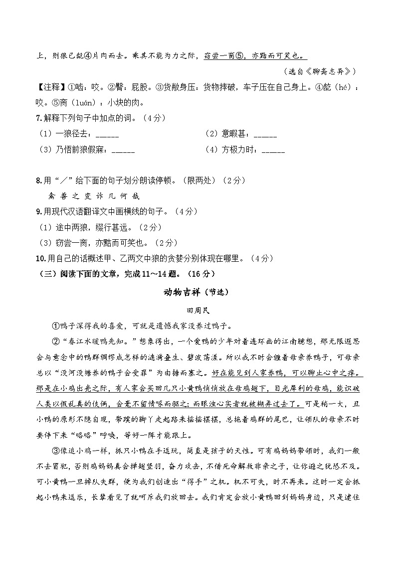 河北省衡水市第十五中学2025-2026学年七年级上学期期末 语文试卷第3页