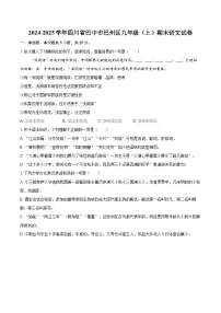 2024-2025学年四川省巴中市巴州区九年级（上）期末语文试卷-自定义类型