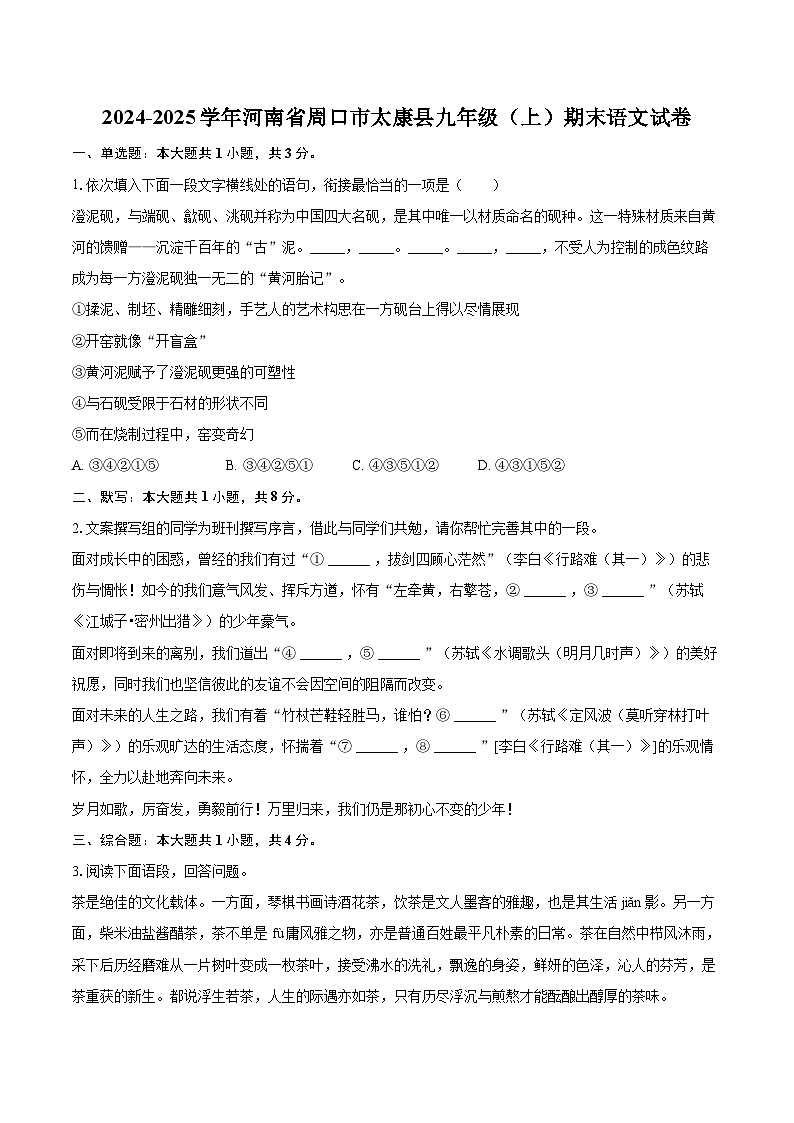 2024-2025学年河南省周口市太康县九年级(上)期末语文试卷-自定义类型第1页