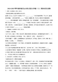 2024-2025学年吉林省白山市长白县七年级（上）期末语文试卷-自定义类型