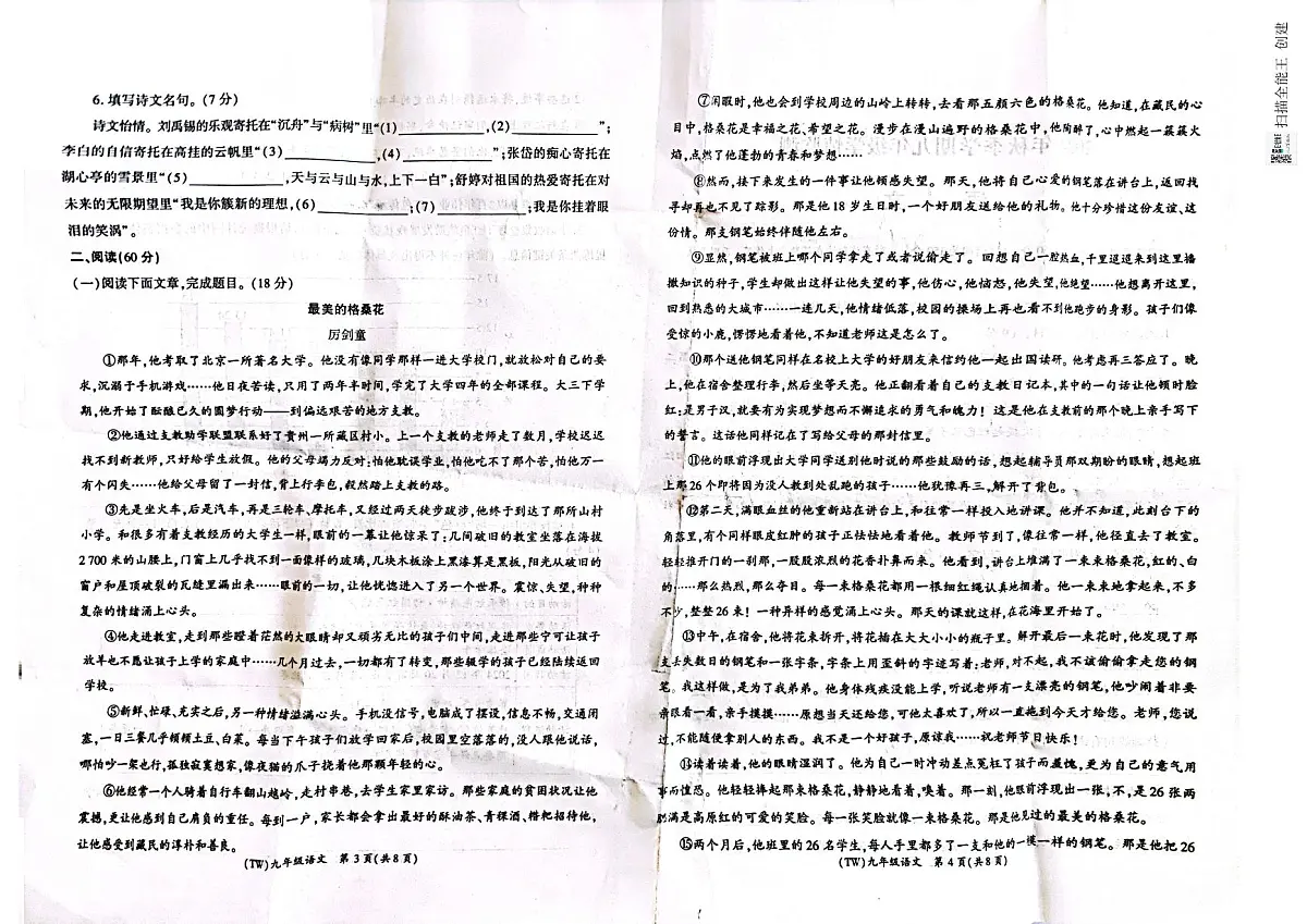 甘肃省陇南市西和县2024-2025学年九年级上学期期末学情检测语文试卷第2页