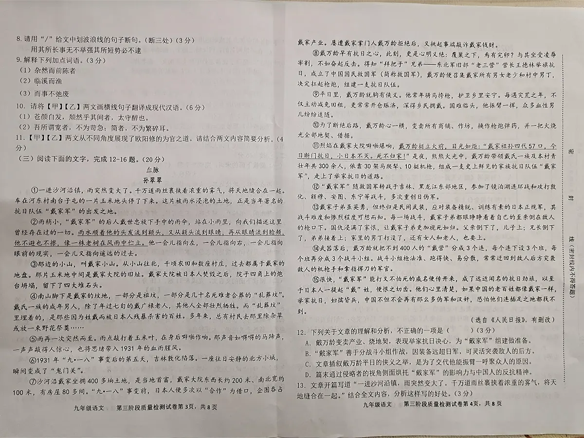 福建省三明市宁化县2025-2026学年九年级上学期三次阶段测试语文试题第2页