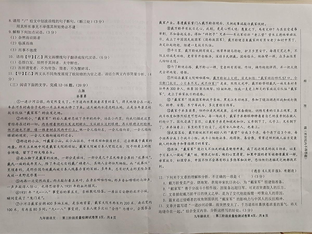 福建省三明市宁化县2025-2026学年九年级上学期三次阶段测试语文试题第2页