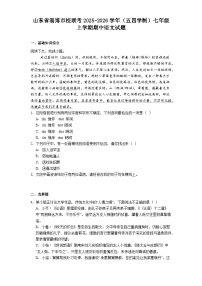 山东省淄博市校联考2025-2026学年（五四学制）七年级上学期期中语文试题（含答案）