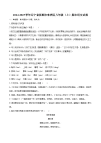 2024-2025学年辽宁省抚顺市东洲区八年级（上）期末语文试卷-自定义类型