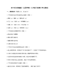 初中 语文  统编版五四学制 九年级下册 第六单元 测试及全面解析