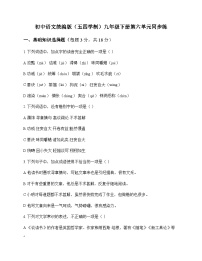 初中 语文 统编版五四学制 九年级下册 第六单元 同步练及深度剖析
