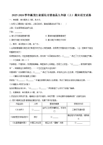 2025-2026学年黑龙江省绥化市望奎县九年级（上）期末语文试卷-自定义类型