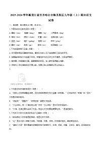 2025-2026学年黑龙江省齐齐哈尔市梅里斯区九年级（上）期末语文试卷-自定义类型