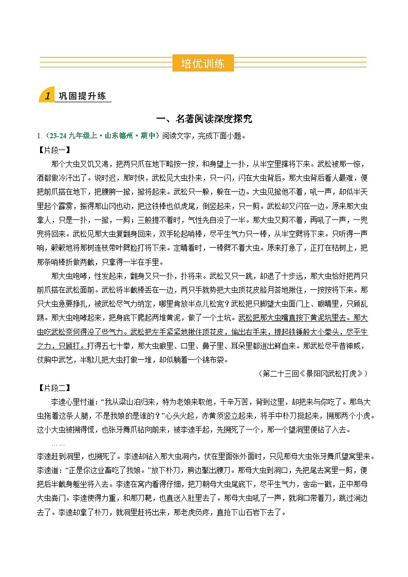 寒假作业16 名著阅读深度探究、基础知识综合(原卷版)第2页