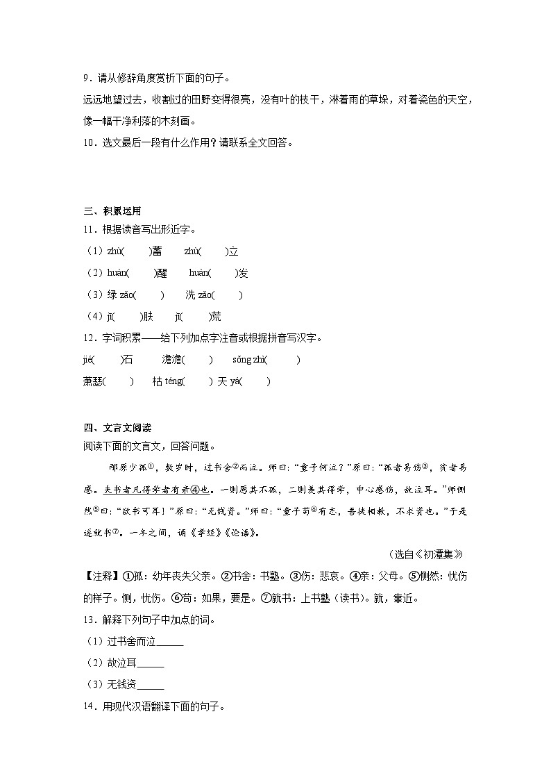 第一单元练习 统编版语文七年级上册期末单元复习第3页