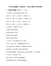 初中 语文 统编版五四学制 六年级下册 第六单元 同步练及解析
