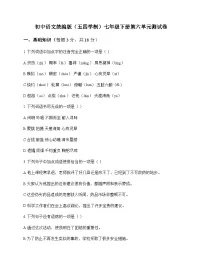 初中 语文 统编版五四学制 七年级下册 第六单元 测试卷及全面解读