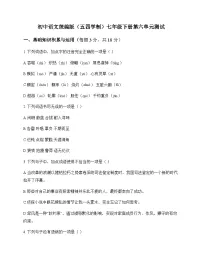 初中 语文 统编版五四学制 七年级下册 第六单元 测试及全面解读