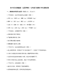 初中 语文  统编版五四学制 七年级下册 第六单元 测试卷及全面解析