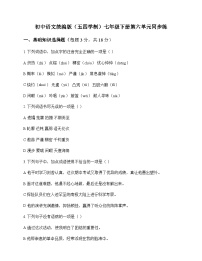 初中 语文 统编版五四学制 七年级下册 第六单元 同步练及解析