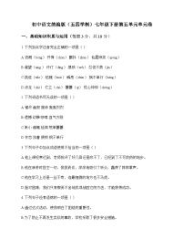 初中 语文  统编版五四学制 七年级下册 第五单元 单元卷及深度剖析