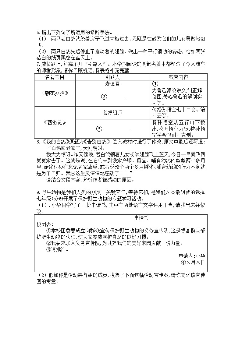 部编版语文七年级上册第18课 我的白鸽练习题(含答案)第2页