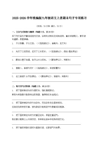 2025-2026学年统编版九年级语文上册期末句子专项练习