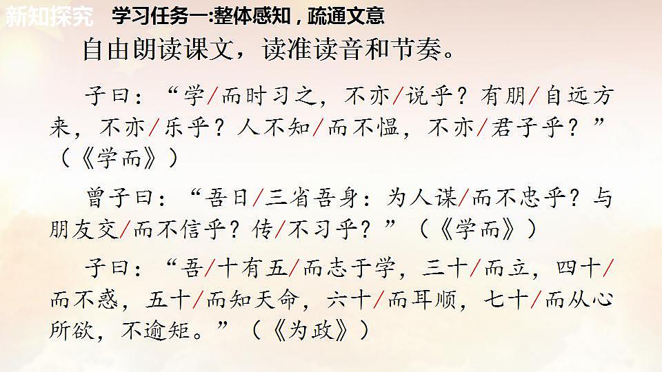 17828873第8页