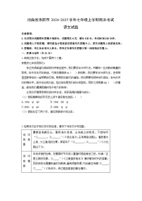 2024-2025学年河南省洛阳市七年级上学期期末考试语文试卷（学生版）