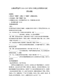2024-2025学年安徽省界首市八年级上学期期末考试语文试卷（学生版）
