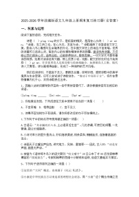 2025-2026学年统编版语文九年级上册期末复习练习题(含答案)