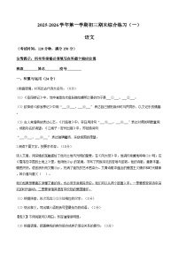 福建师范大学附属中学2025-2026学年上学期九年级期末语文试卷（无答案）