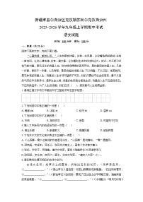 2025-2026学年新疆维吾尔自治区克孜勒苏柯尔克孜自治州九年级上学期期中考试语文试卷（学生版）