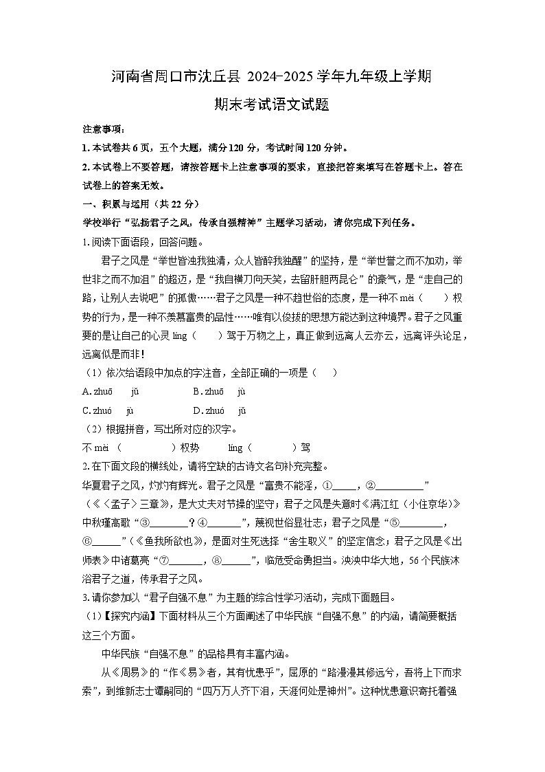 2024-2025学年河南省周口市沈丘县九年级上学期期末考试语文试卷(学生版)第1页