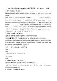 2025-2026学年陕西省榆林市城区九年级（上）期末语文试卷-自定义类型