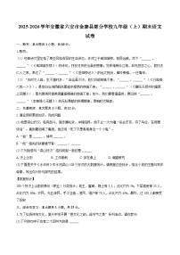 2025-2026学年安徽省六安市金寨县部分学校九年级（上）期末语文试卷-自定义类型