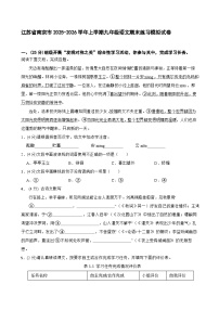 江苏省南京市2025-2026学年上学期九年级语文期末练习模拟试卷