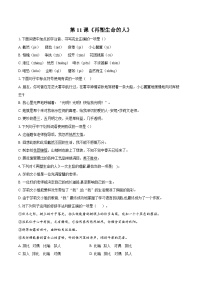 人教部编版（2024）七年级上册再塑生命的人课时训练