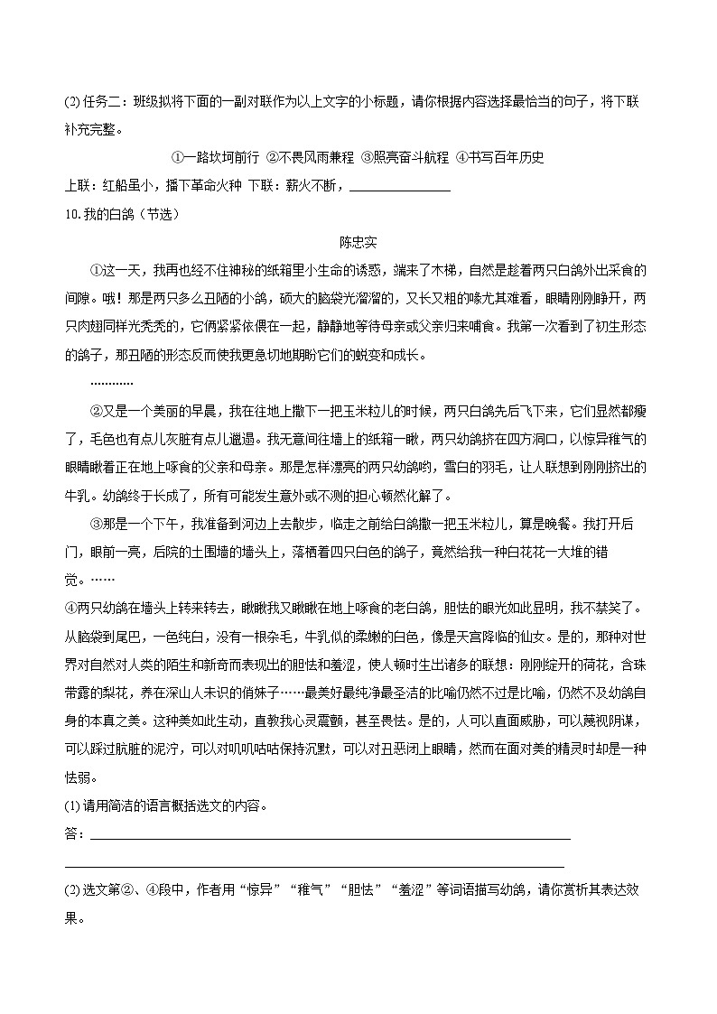 第18课《我的白鸽》同步练习 2025—2026学年统编版语文七年级上册(含答案+解析)第3页